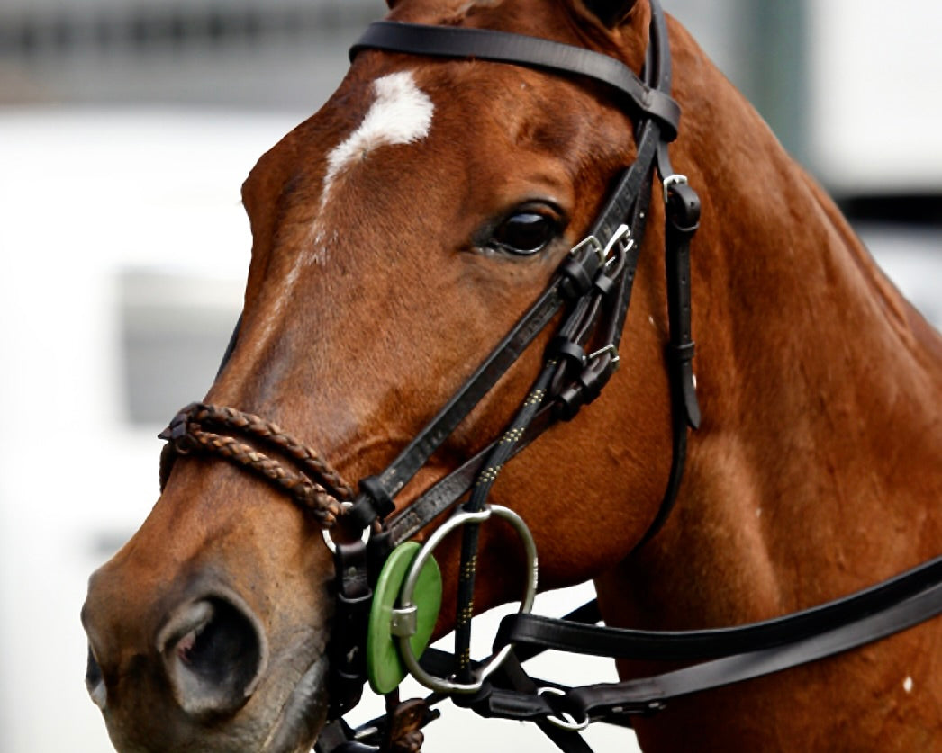 Gold Noseband Bracelet