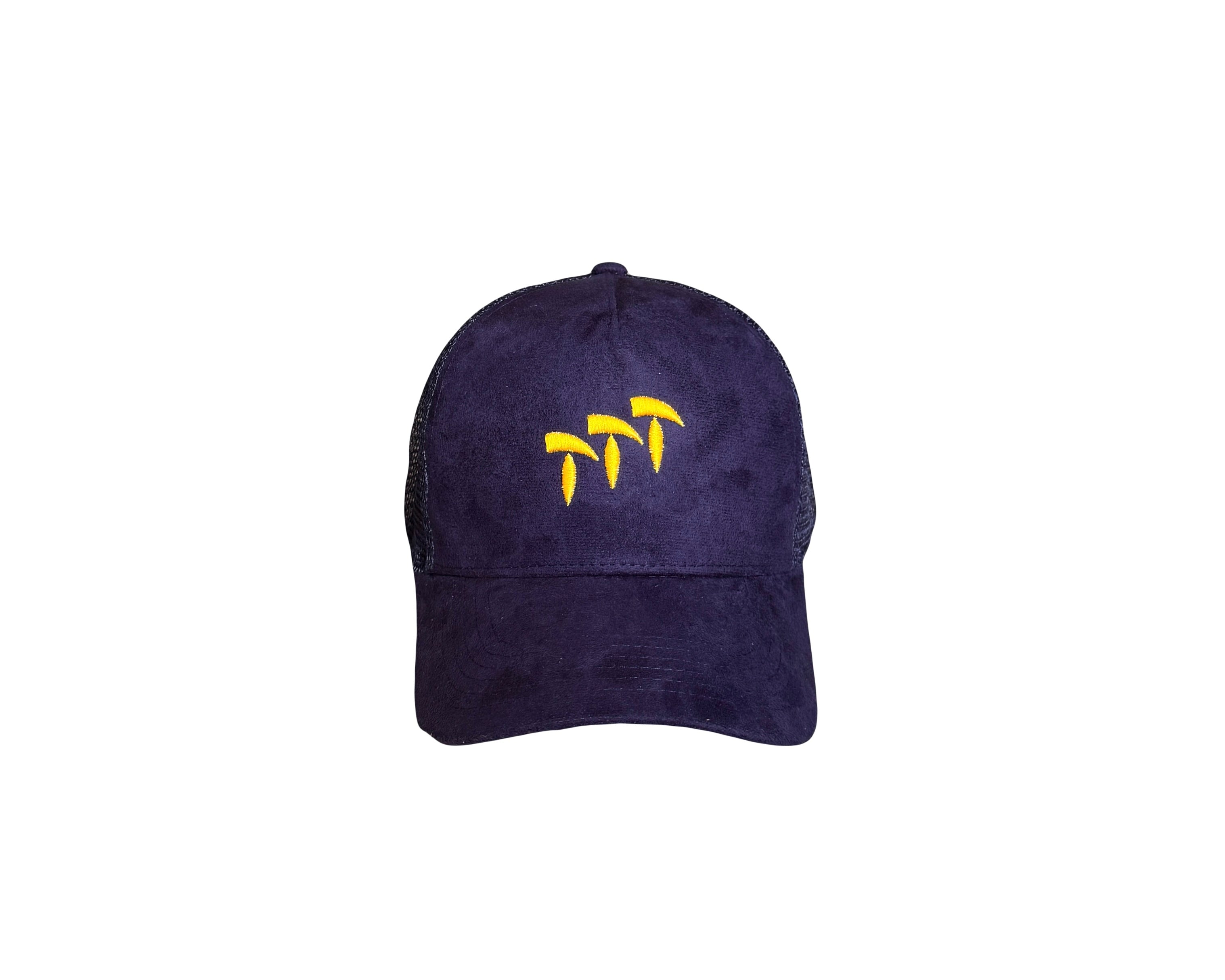 Special Edition Cap